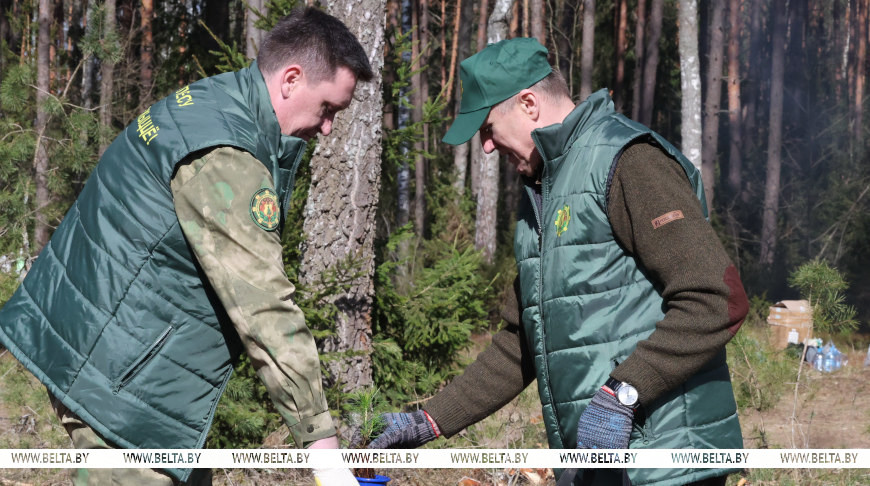 «Поработали с удовольствием». К акции «Дай лесу новае жыццё» присоединились представители Могилевского облисполкома