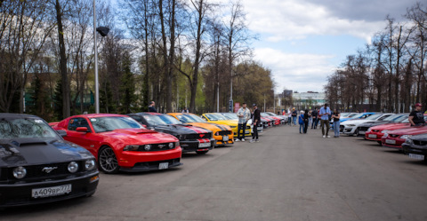 Автопробег и выставка автомобилей Ford Mustang состоится 16 июня в Бобруйске