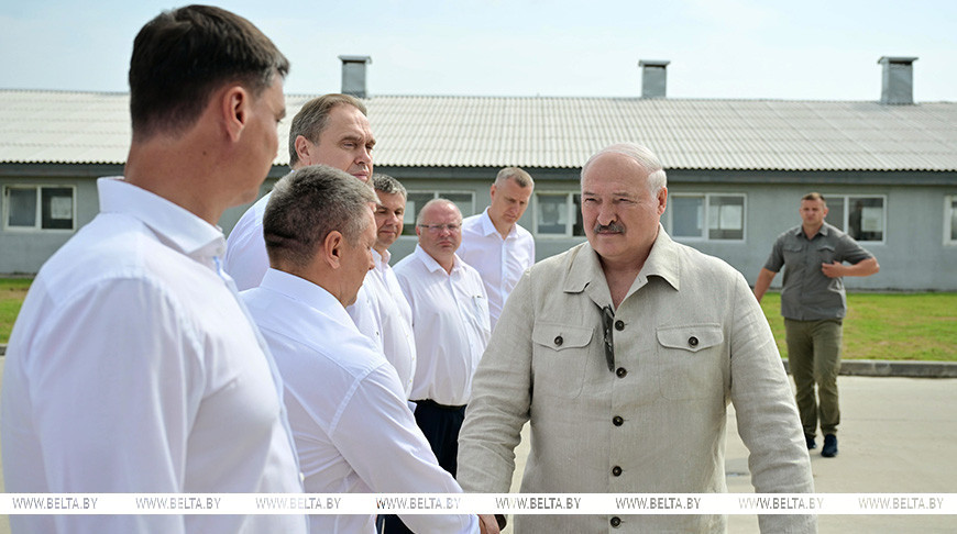 "Почему не интенсифицировать процесс?" Александр Лукашенко поставил принципиальные вопросы в сфере козоводства 