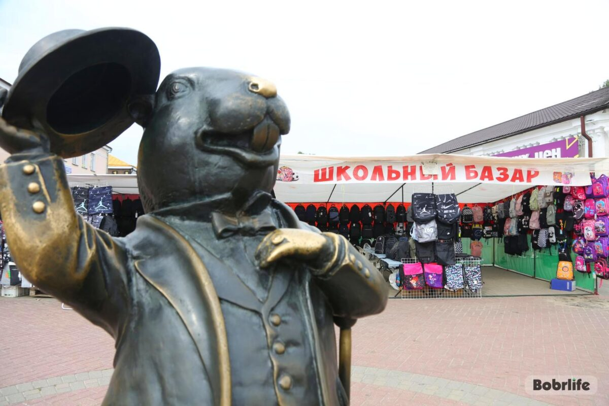 1 сентября не за горами. Расскажем, когда в Бобруйске начнет работу школьный базар