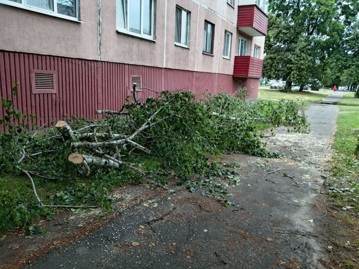 Сломанные деревья, поврежденные крыши. Что известно о последствиях урагана в Беларуси и Бобруйске на 11 июля