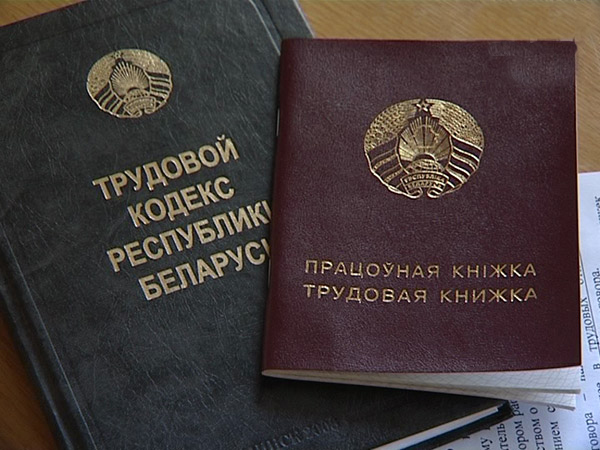 Памятка молодому специалисту: поддержка государства, льготы и обязательные документы