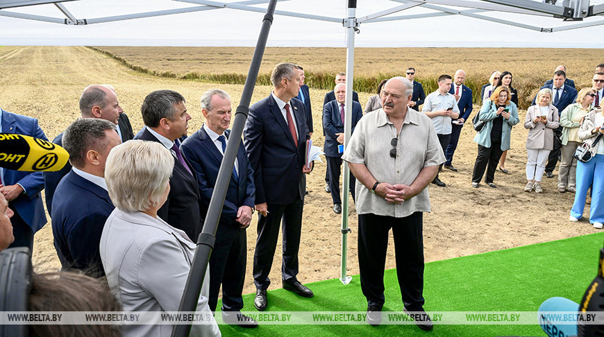Александр Лукашенко ориентирует на получение в Беларуси урожая маслосемян рапса около 1 млн тонн
