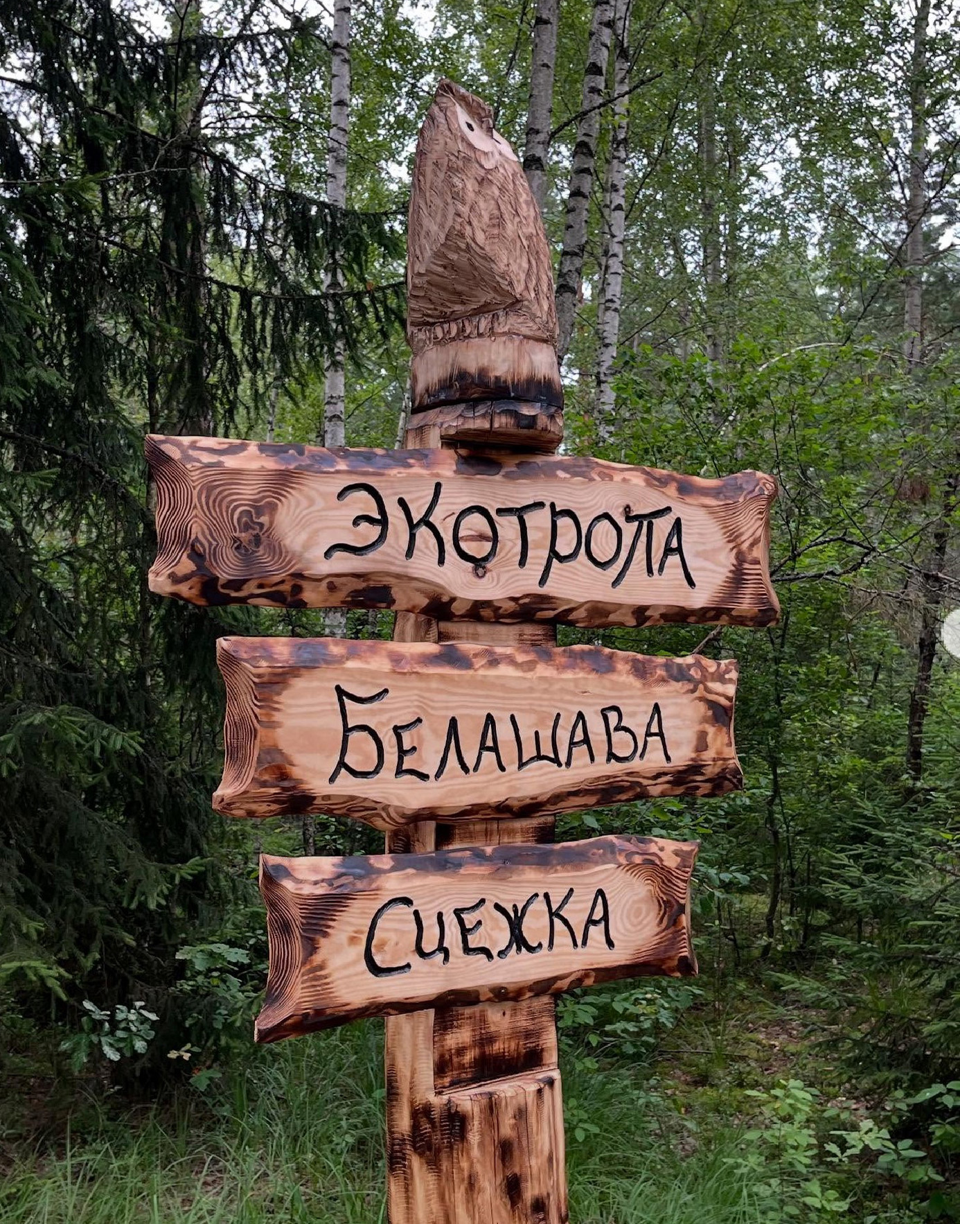 Новый туристический маршрут для школьников разработали в Бобруйском районе