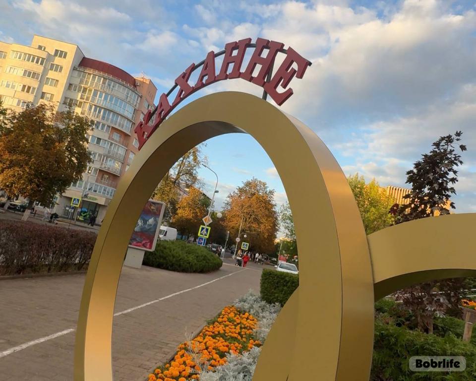 Бобруйск лучший. В городе продолжают устанавливать красивые арт-объекты