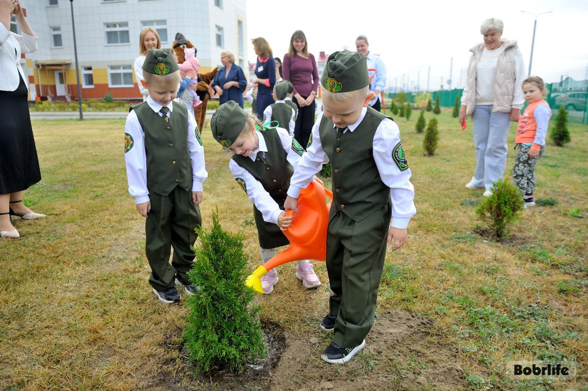 Беречь природу с детства. В детском саду №85 Бобруйска воспитанники прошли посвящение в юные лесничие