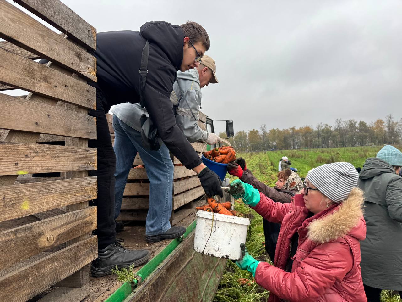 С заботой о родной земле. Активисты Ленинской районной организации Бобруйска РОО «Белая Русь» пришли на помощь сельчанам
