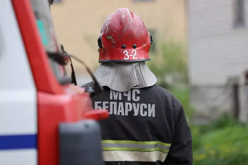 Информация от МЧС. Оперативная обстановка за прошедшие сутки