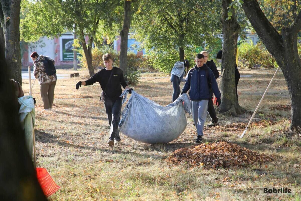 В Бобруйске 11 октября пройдет субботник