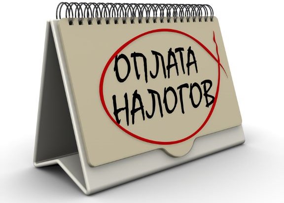 17 ноября – срок уплаты имущественных налогов за 2024 год. Как узнать сумму и оплатить