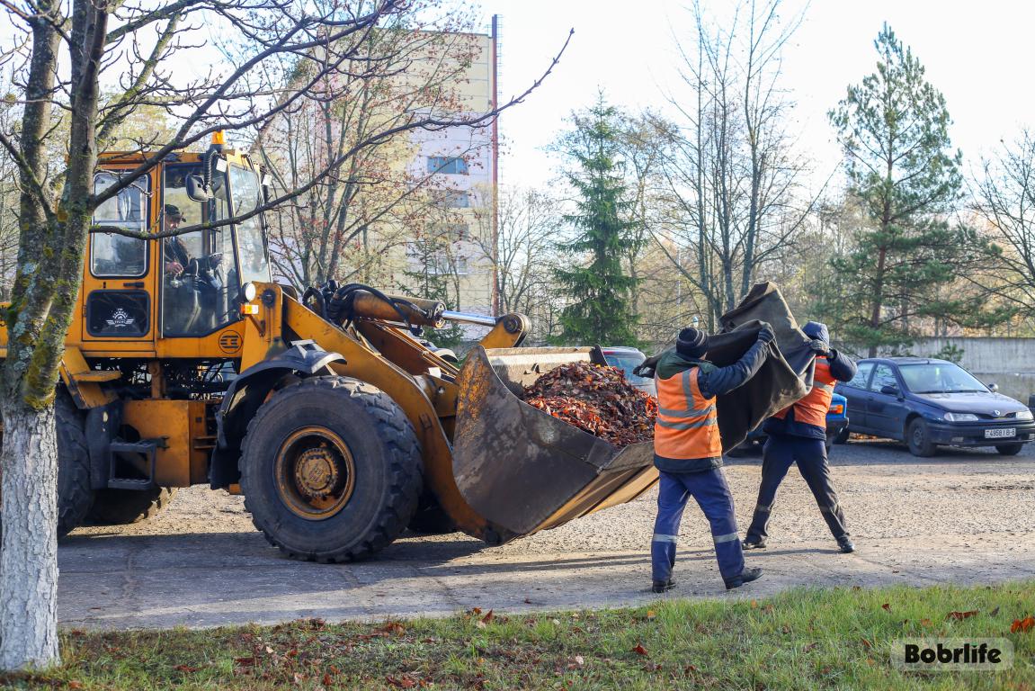 Забота о родном городе. Бобруйчане вышли на масштабную уборку