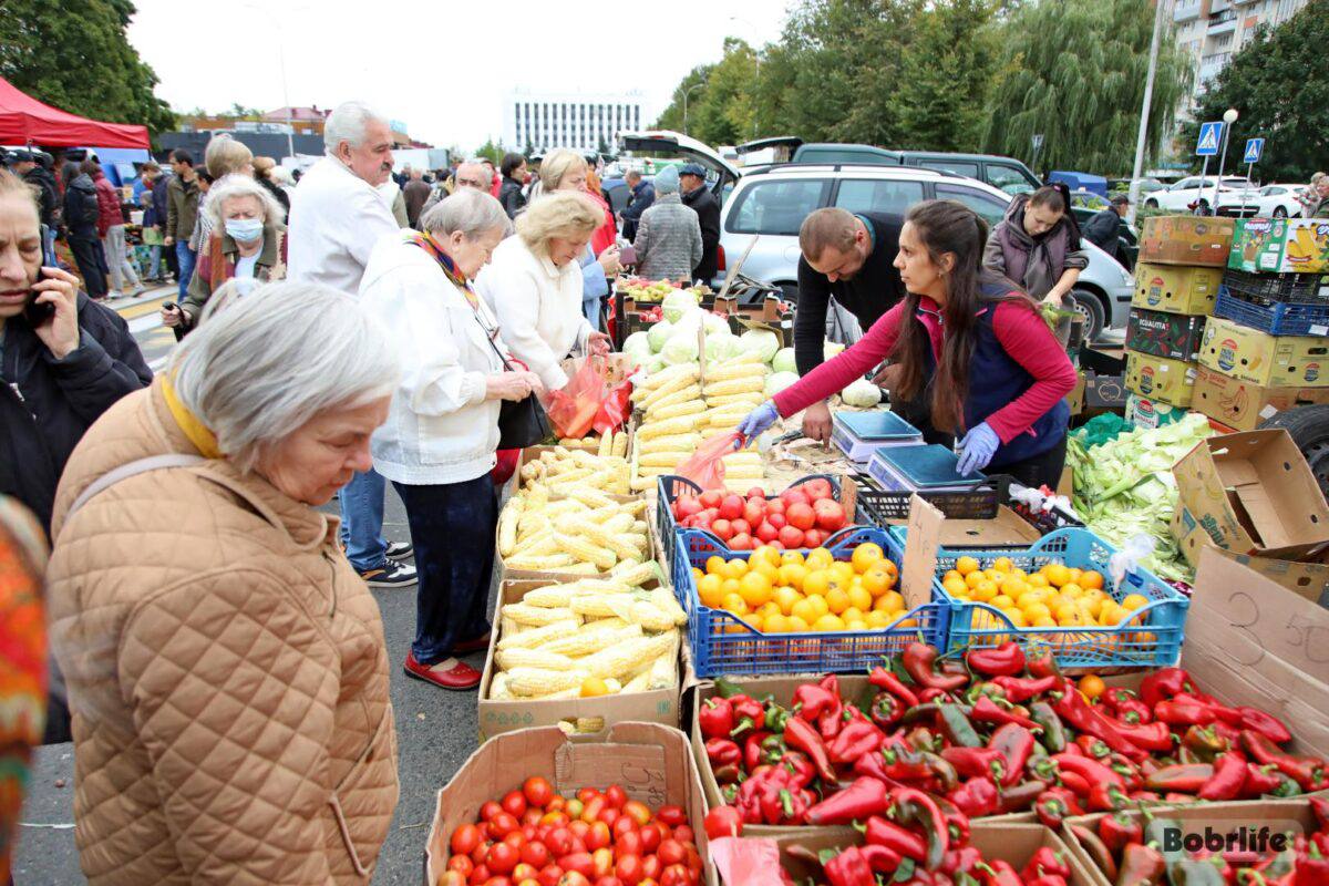 В Бобруйске продолжает свою работу богатая осенняя сельхозярмарка
