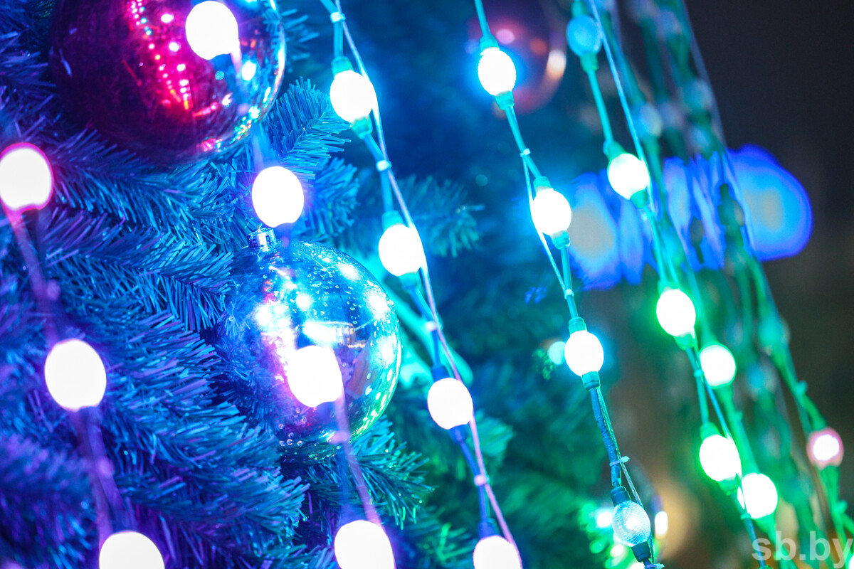 Огни на главной елке Могилевской области зажгут на молодежном шоу 15 декабря