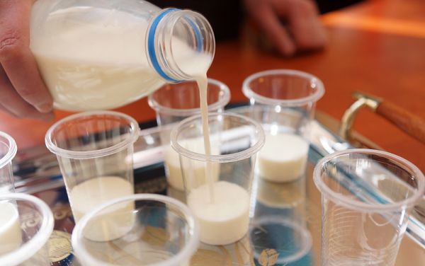 Бобруйчан приглашают на дегустацию продукции филиала «Бобруйск» ОАО «Бабушкина крынка» в магазин «Маяк» 19 декабря