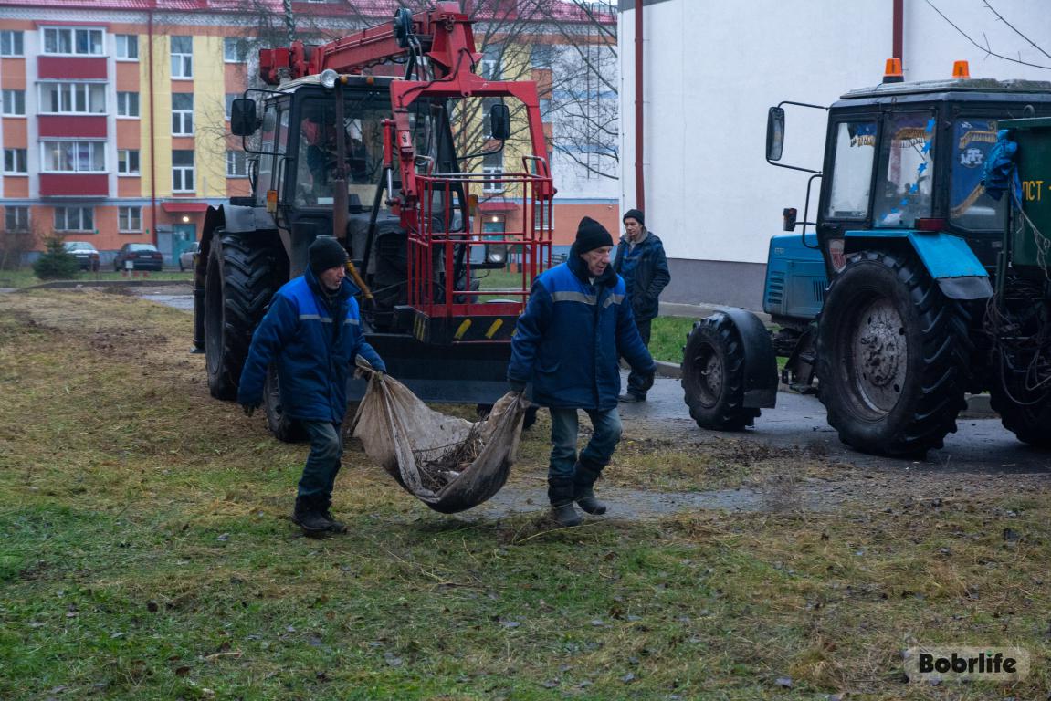 Оперативное реагирование. В Бобруйске привели в порядок проблемную дворовую территорию