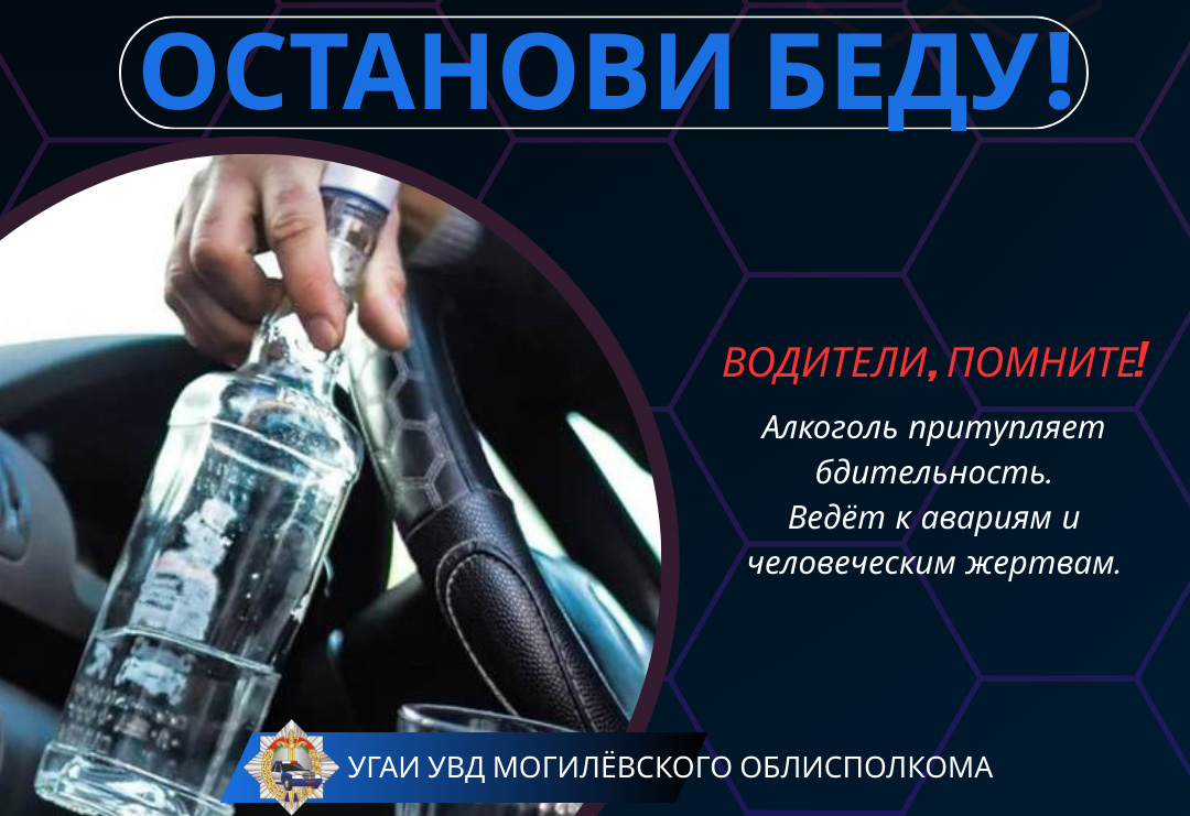 Единый день безопасности дорожного движения под девизом «Останови беду!» пройдет 19 декабря