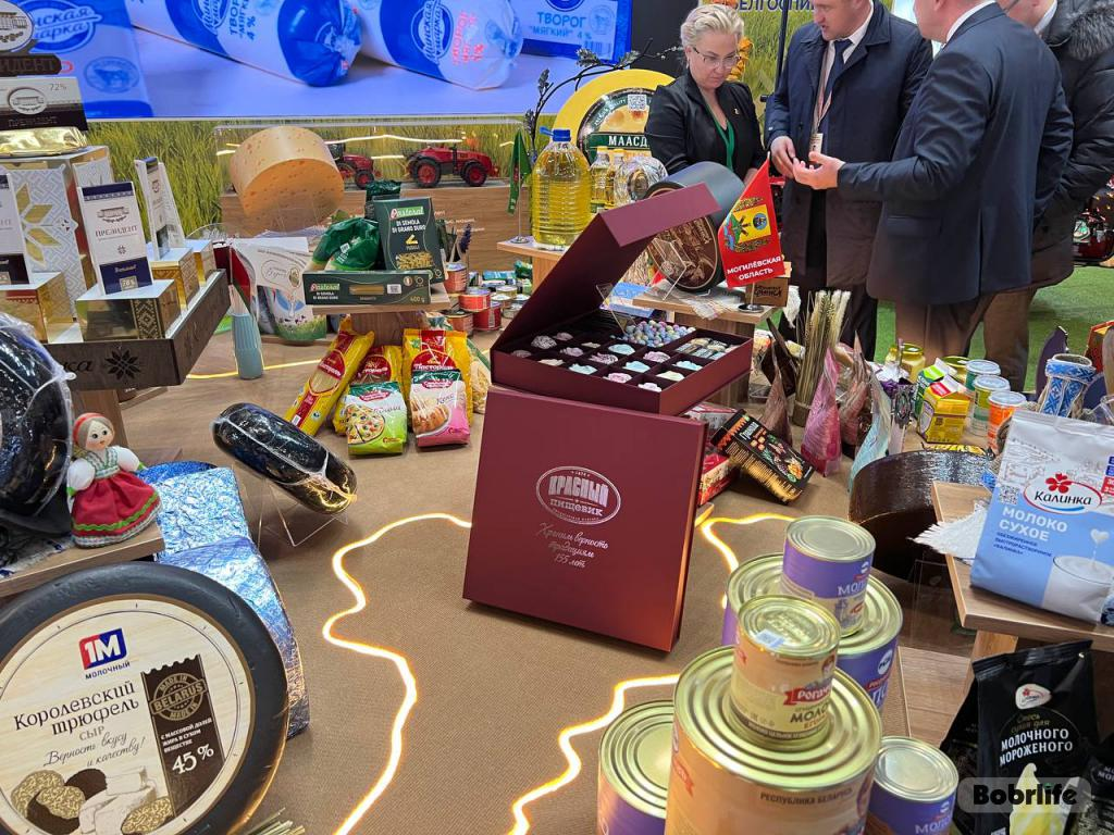 Делегация Бобруйска посетила выставку «Моя Беларусь», приуроченную к ВНС