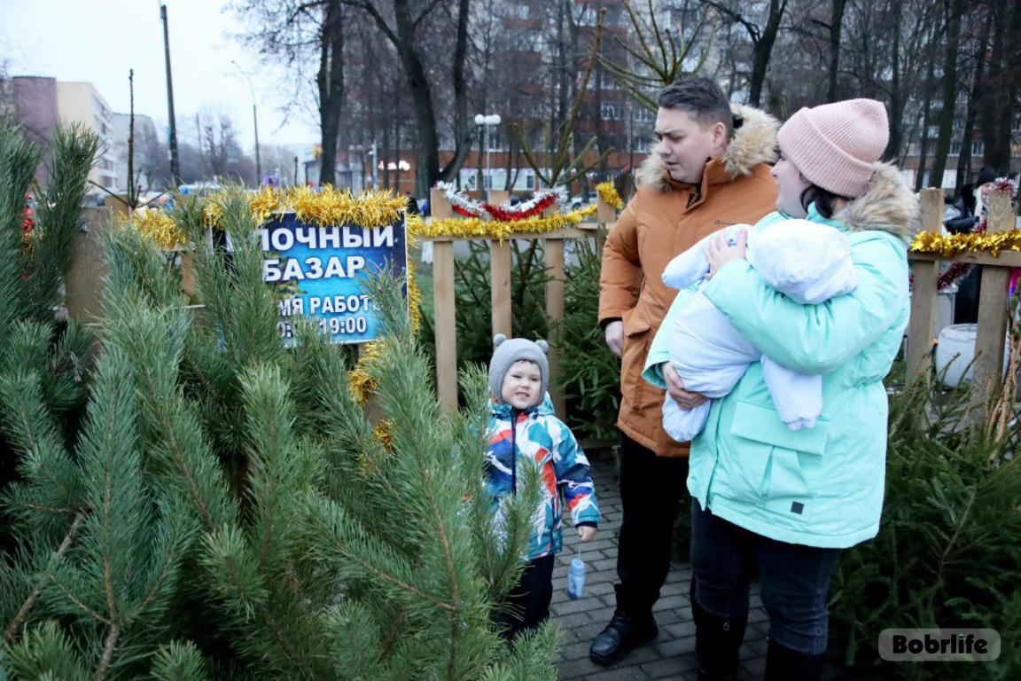 В Беларуси появилась карта елочных базаров