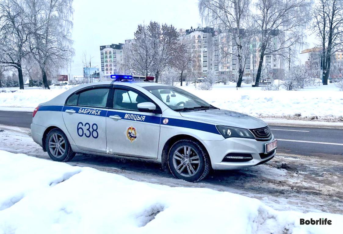 Безопасность на дорогах начинается с автошколы. ГАИ Бобруйска усилит контроль за учебным автотранспортом