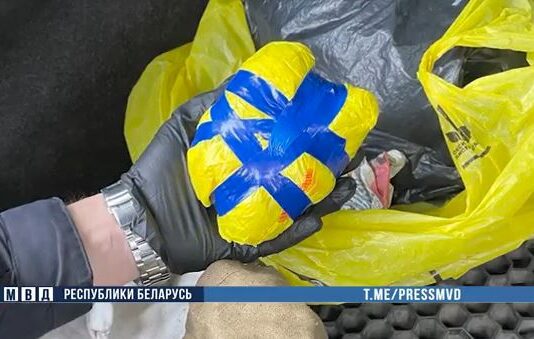 На Могилевщине задержан наркооптовик. Возбуждено уголовное дело