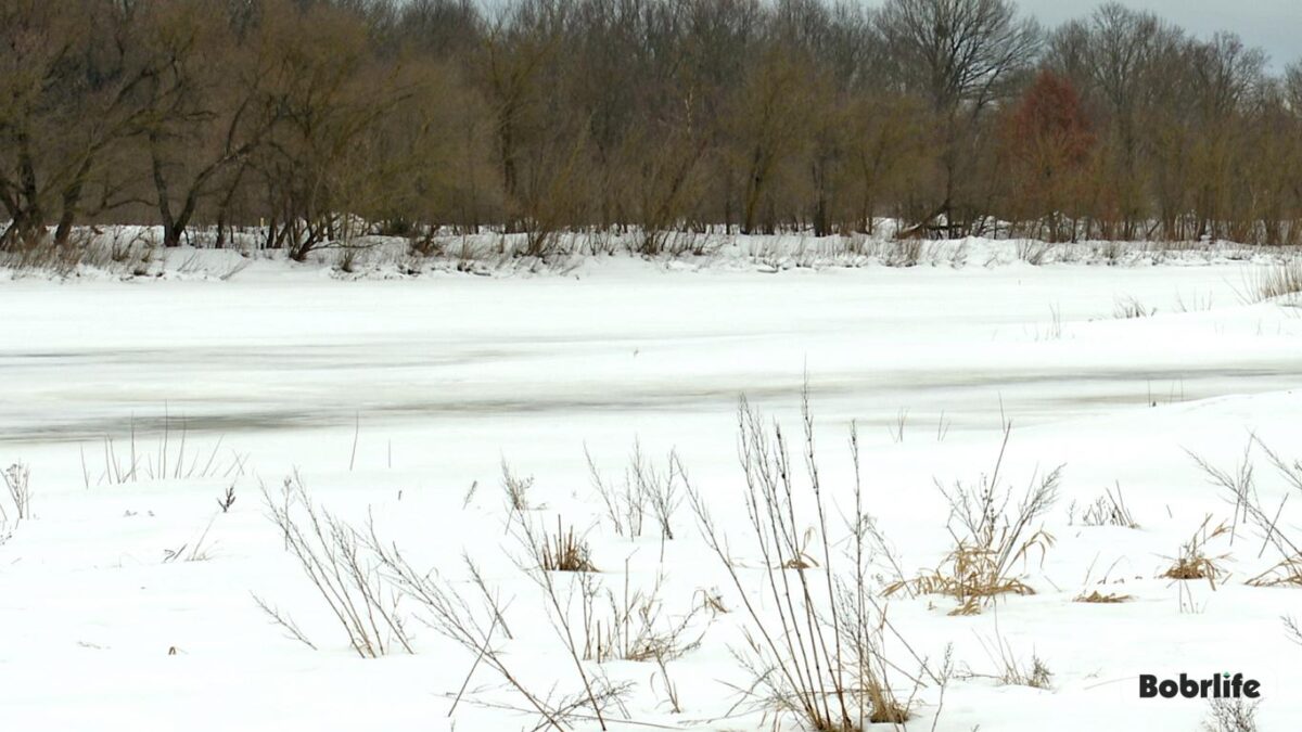 В зоне риска: МЧС Беларуси готовится к борьбе с водной стихией. О ситуации в Бобруйске рассказали в БГРОЧС