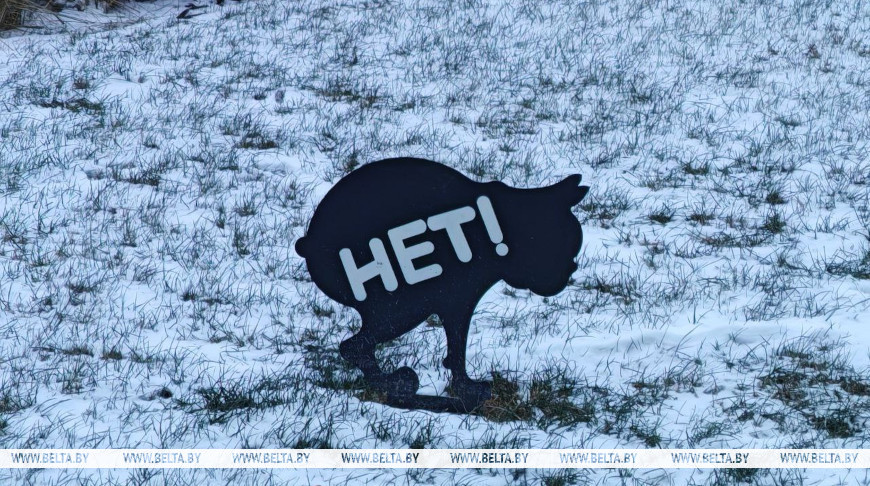 Ответственность за оставление «следов» после выгула животных