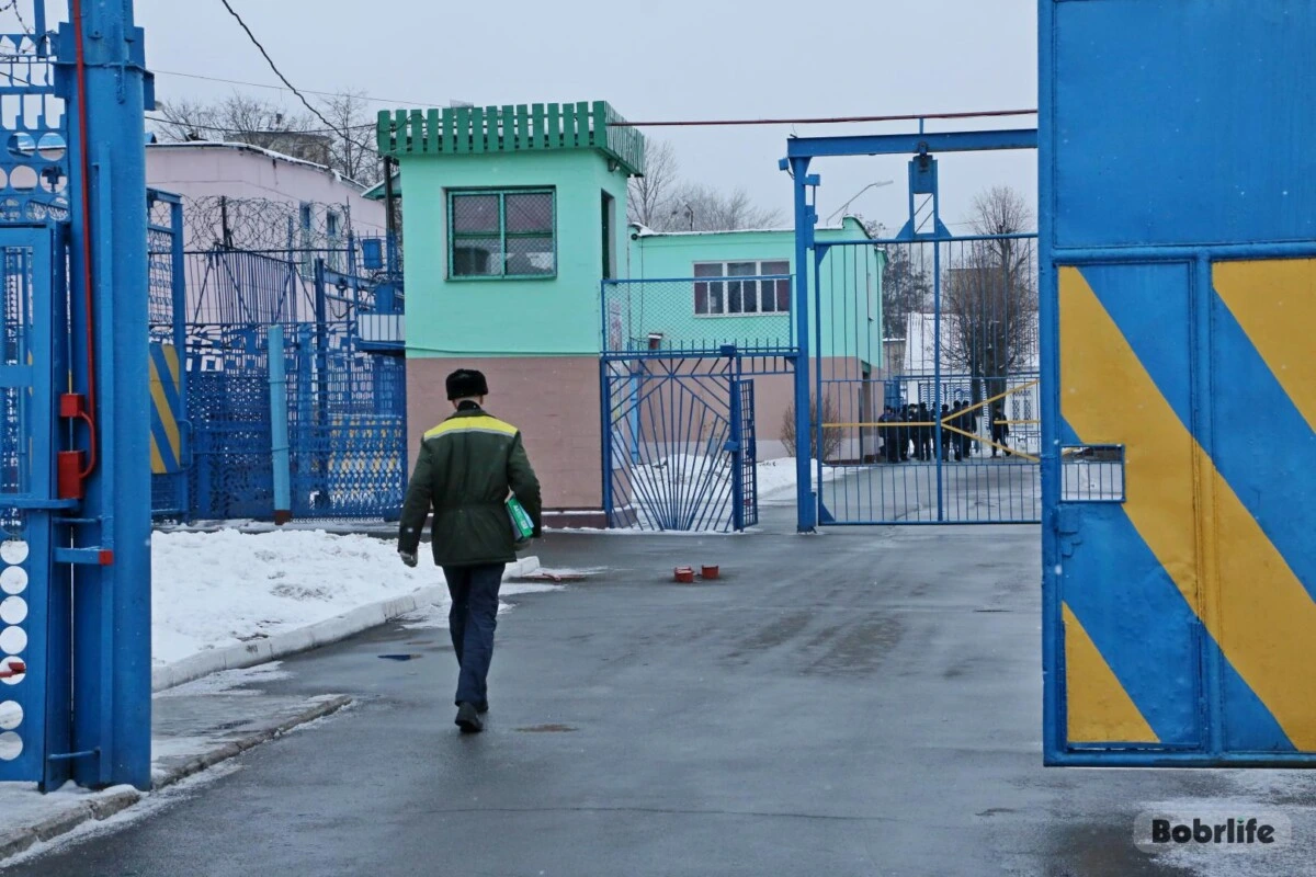 Семейный наркобизнес. Суд вынес приговор бобруйчанину и его пасынку