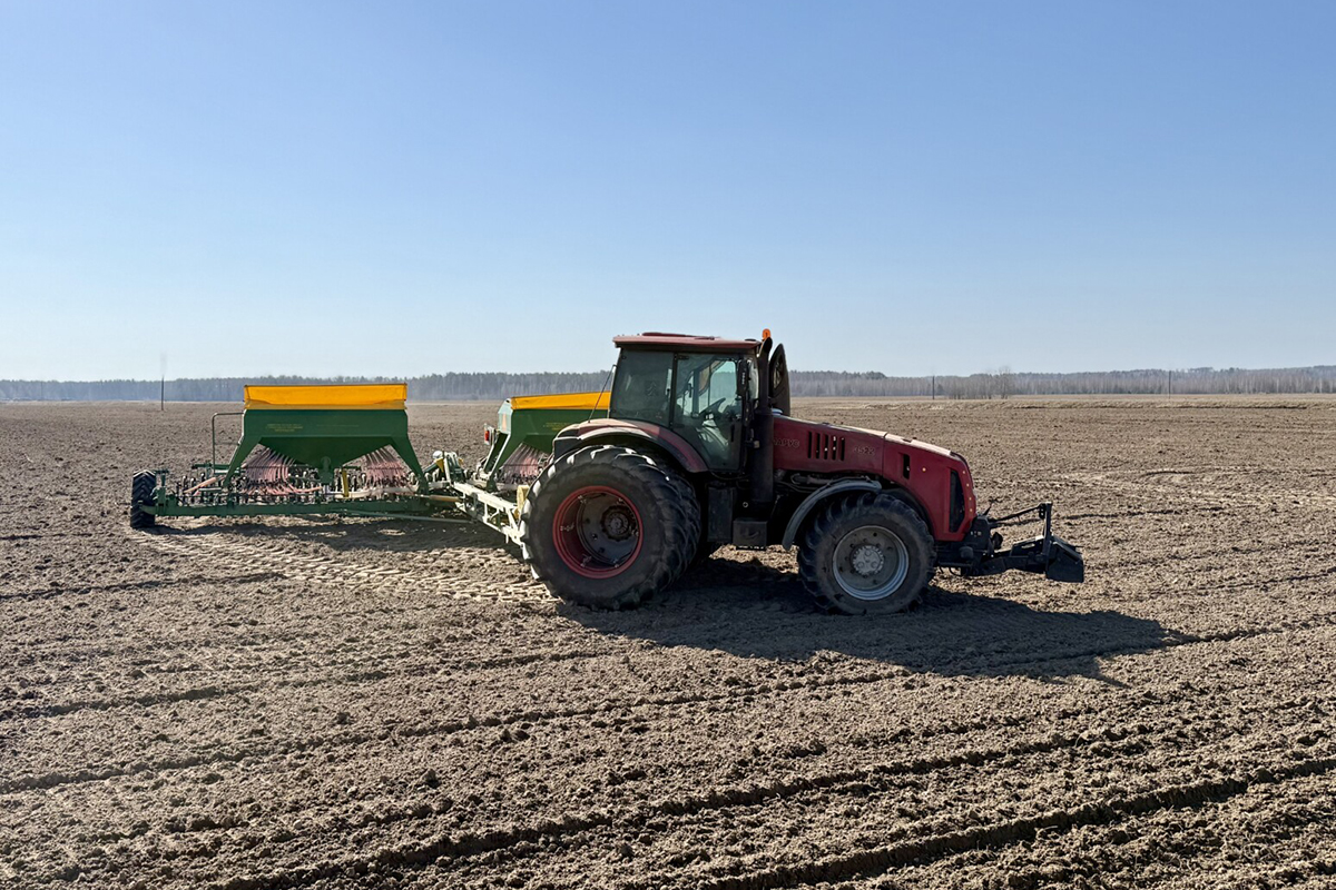 Могилевщина точечно включается в сев: полевые работы стартовали в Бобруйском районе