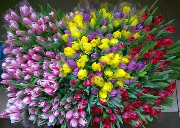 Вниманию физических лиц, осуществляющих реализацию самостоятельно выращенной цветочной продукции с уплатой единого налога