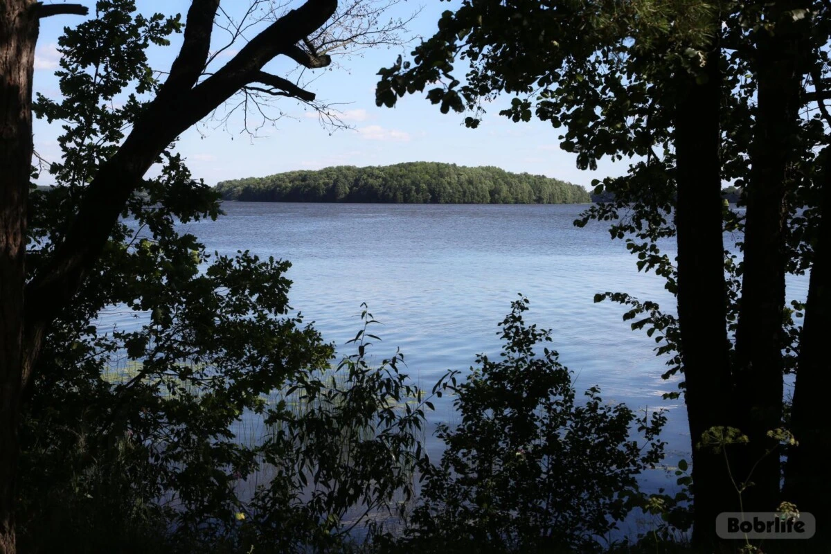 В Беларуси начали вводить ограничения на посещение лесов. Причина — третий класс пожарной опасности