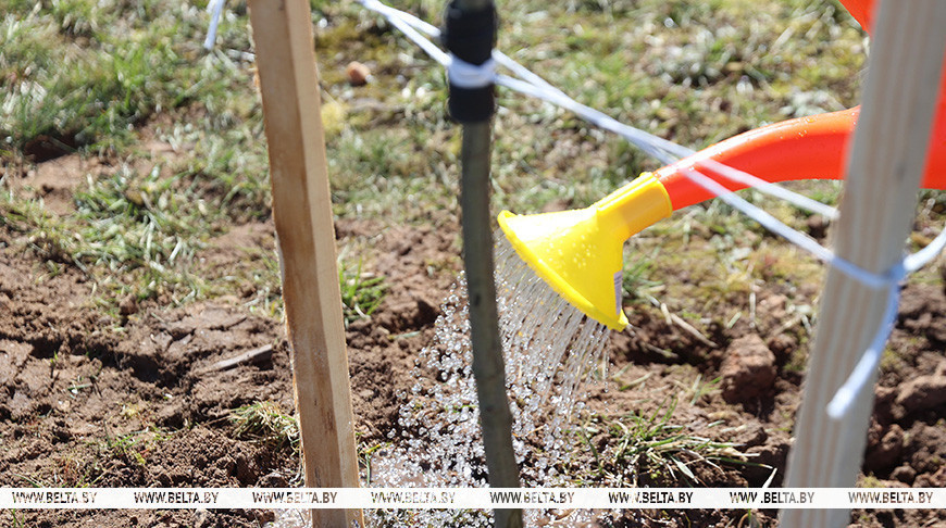 Республиканский субботник пройдет в Беларуси 18 апреля