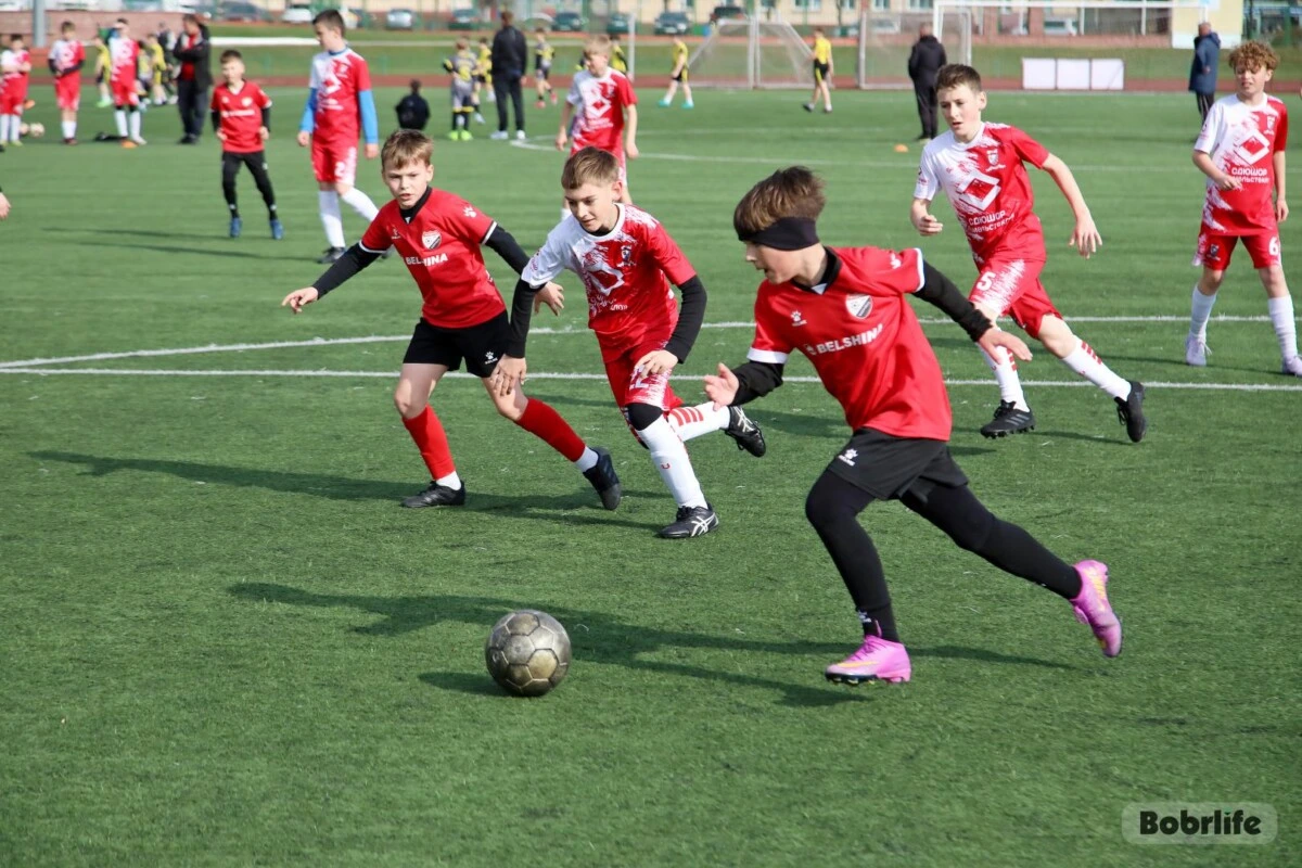 В Бобруйске стартовал турнир по футболу памяти Владимира Сосункевича