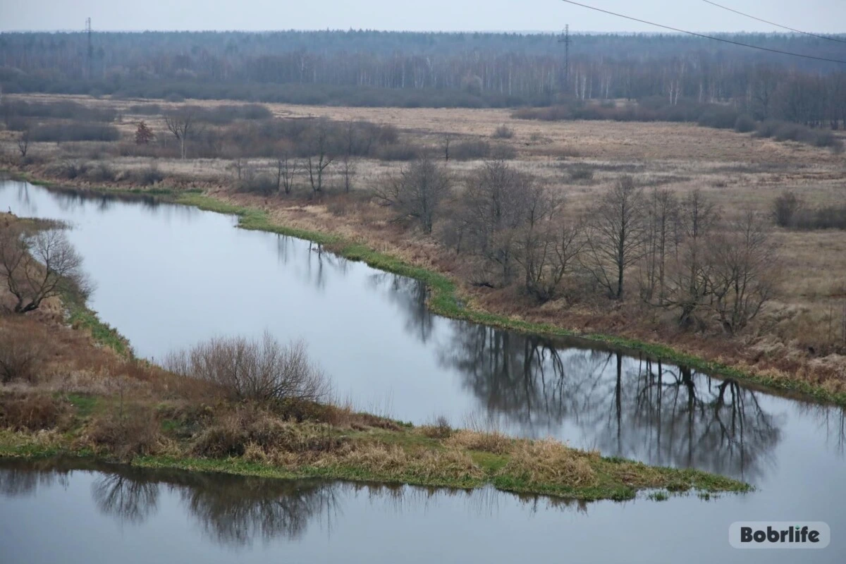 Экологическая акция «Беларусь синеокая» в Бобруйске: объединим усилия ради чистоты водоемов