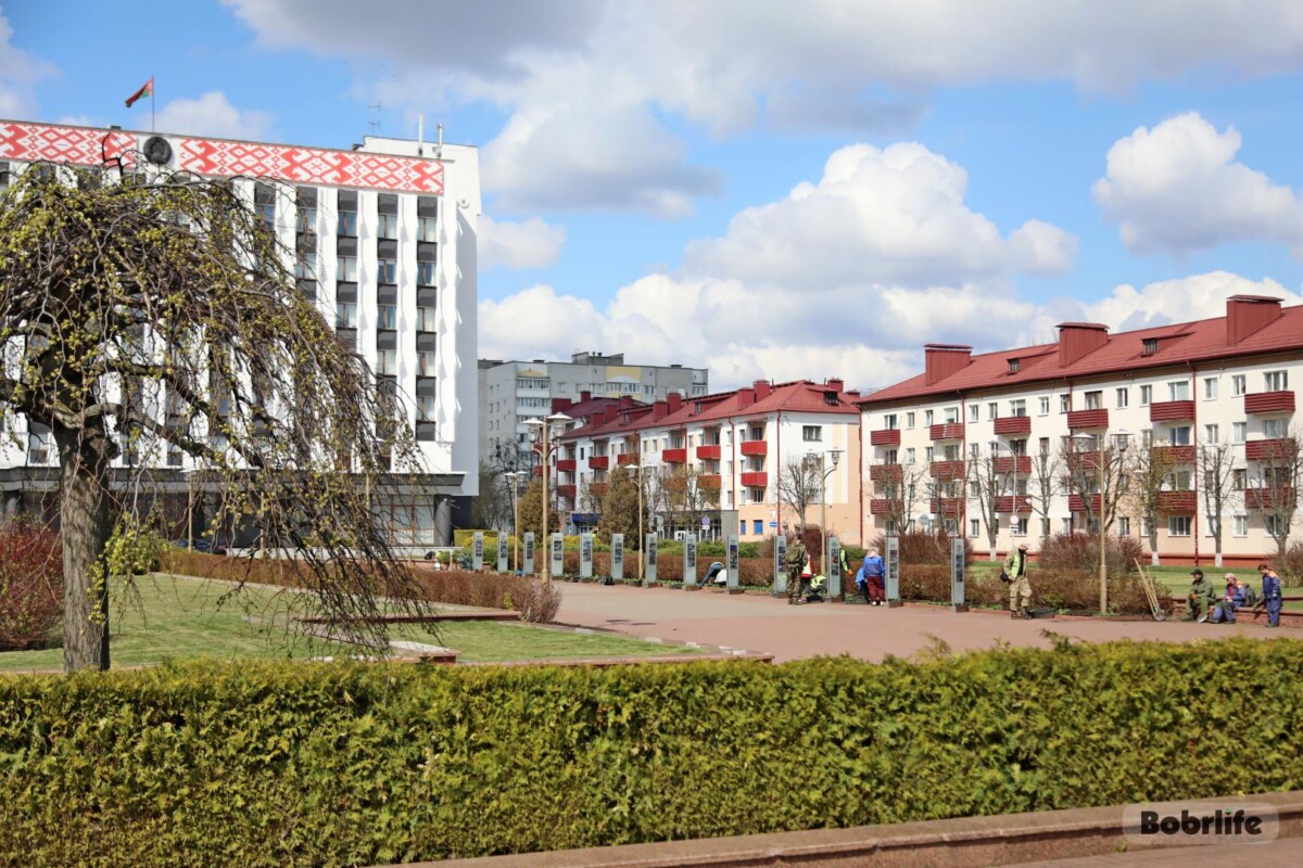 Красочный акцент. В Бобруйске стартовали работы по высадке цветов