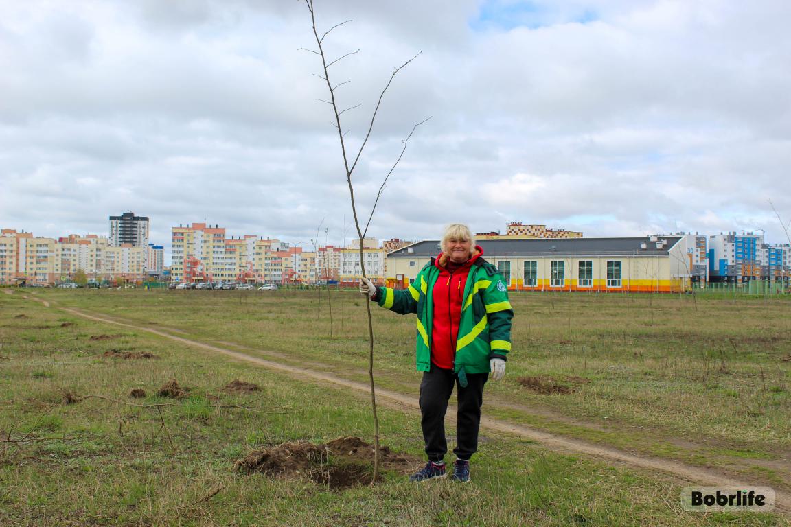 Субботник как праздник. Дружный коллектив ДЭП Бобруйска принял участие в инициативе