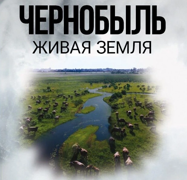 В Бобруйске пройдут премьерные показы национального фильма «Чернобыль. Живая земля». Где и когда можно посмотреть