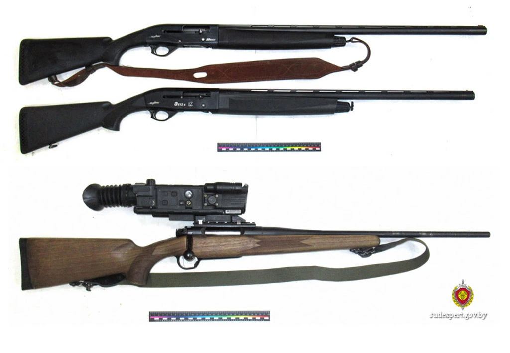 Незаконная охота: эксперты установили, выстрелом из какого оружия бобруйчанин застрелил рысь