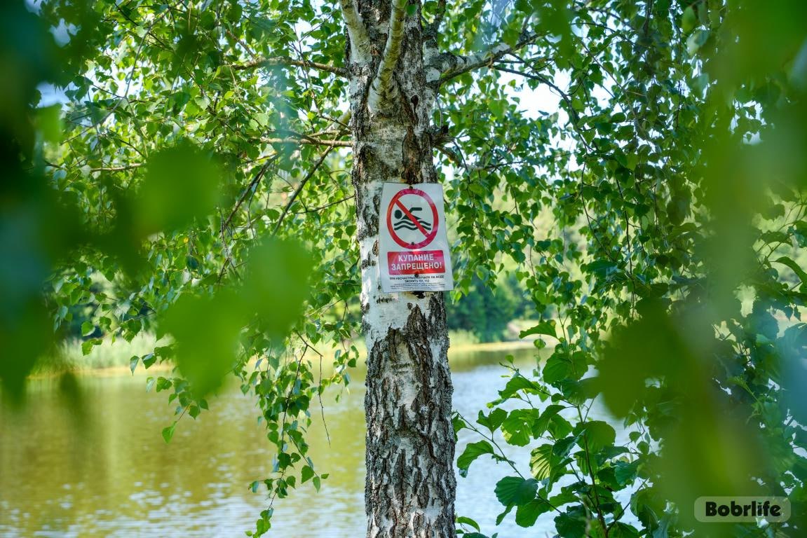 Внимание! Чтобы предотвратить трагедию, соблюдайте меры безопасности у водоемов