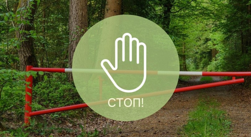 Во всех районах Могилевской области ограничили посещение лесов