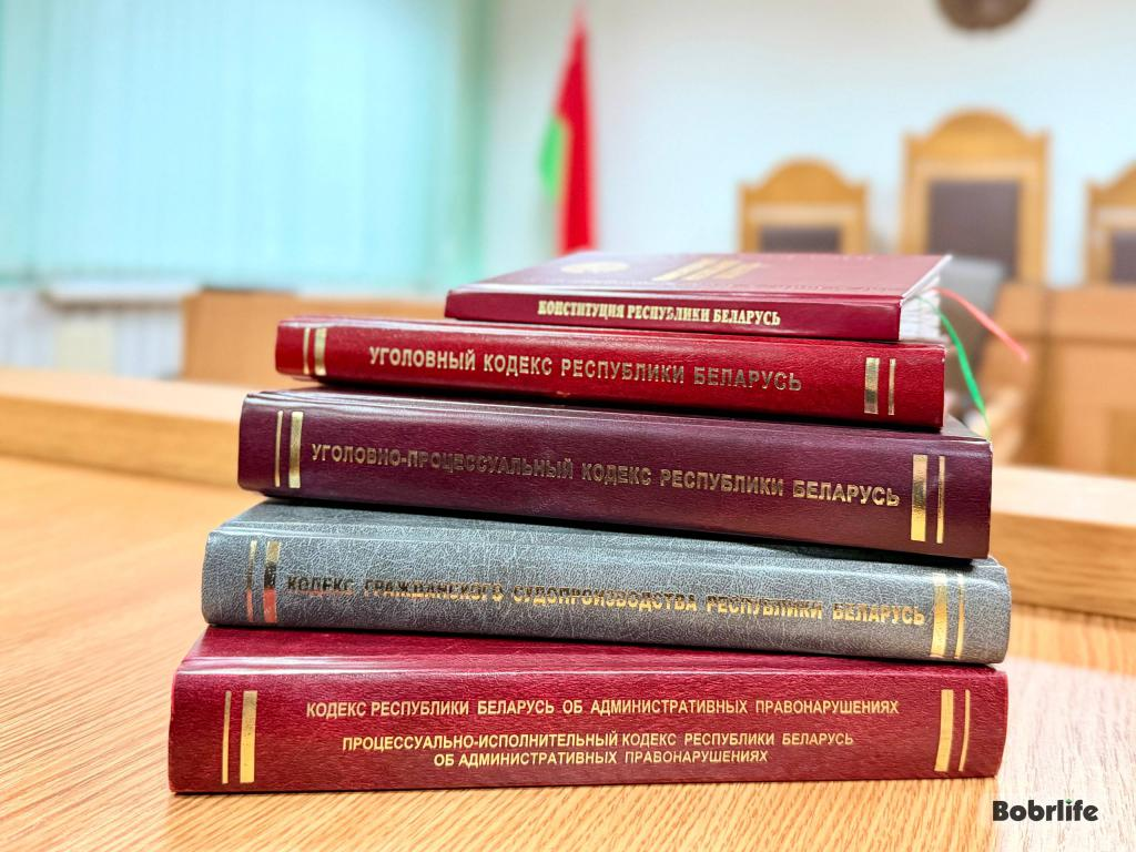 Право на ходатайство: о важном изменении в законодательстве об условно-досрочном освобождении и замене наказания более мягким рассказали в прокуратуре Бобруйска