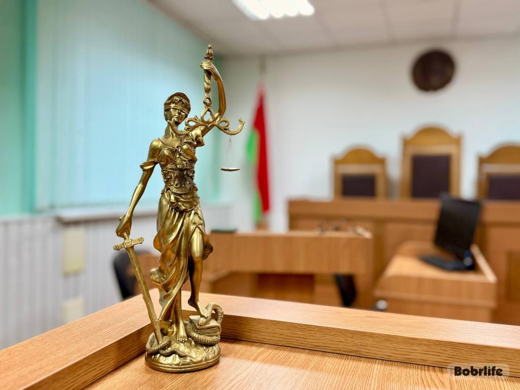 Получил срок, штраф, потерял машину. В Бобруйске за хищения осужден местный житель