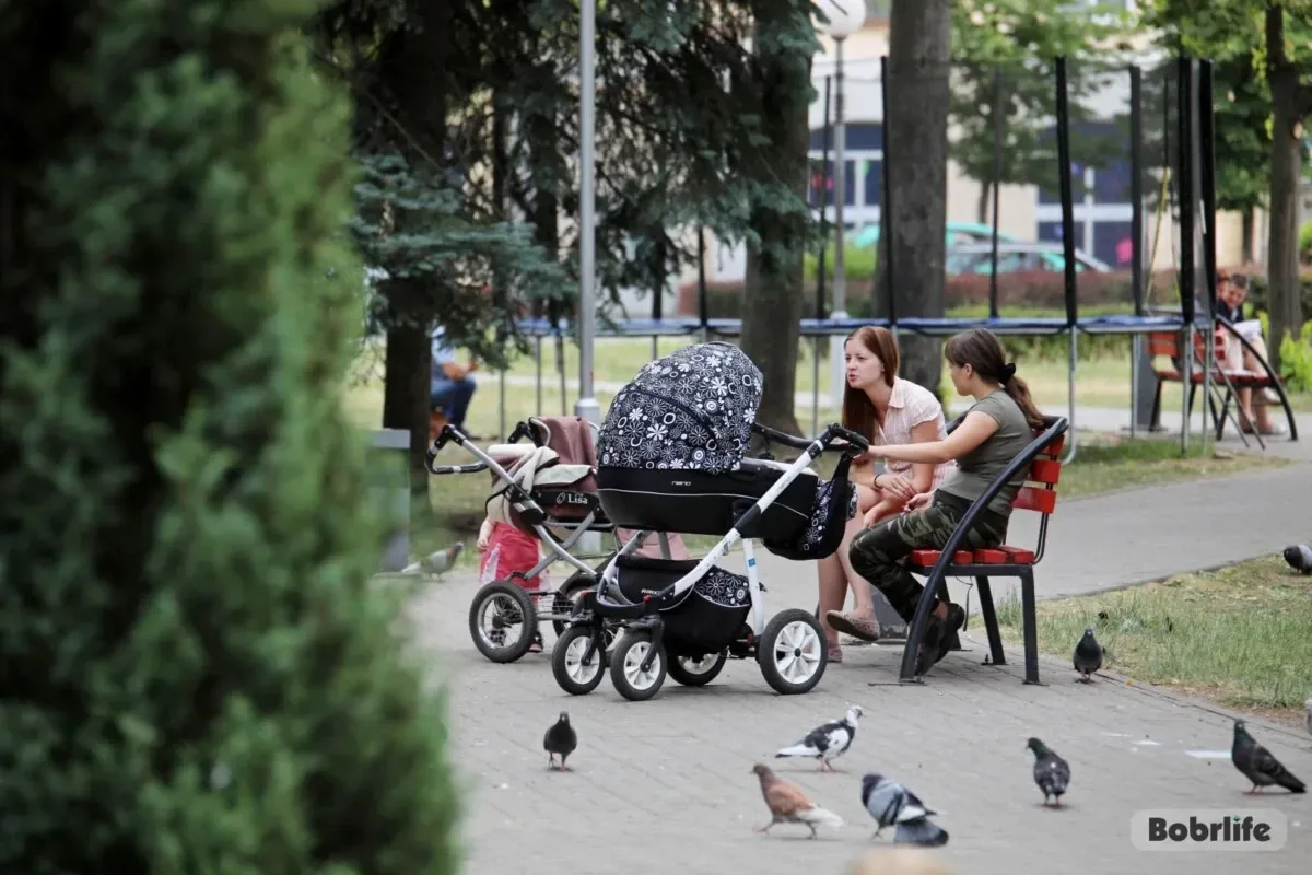 Государственная поддержка семей с детьми: основные меры и гарантии