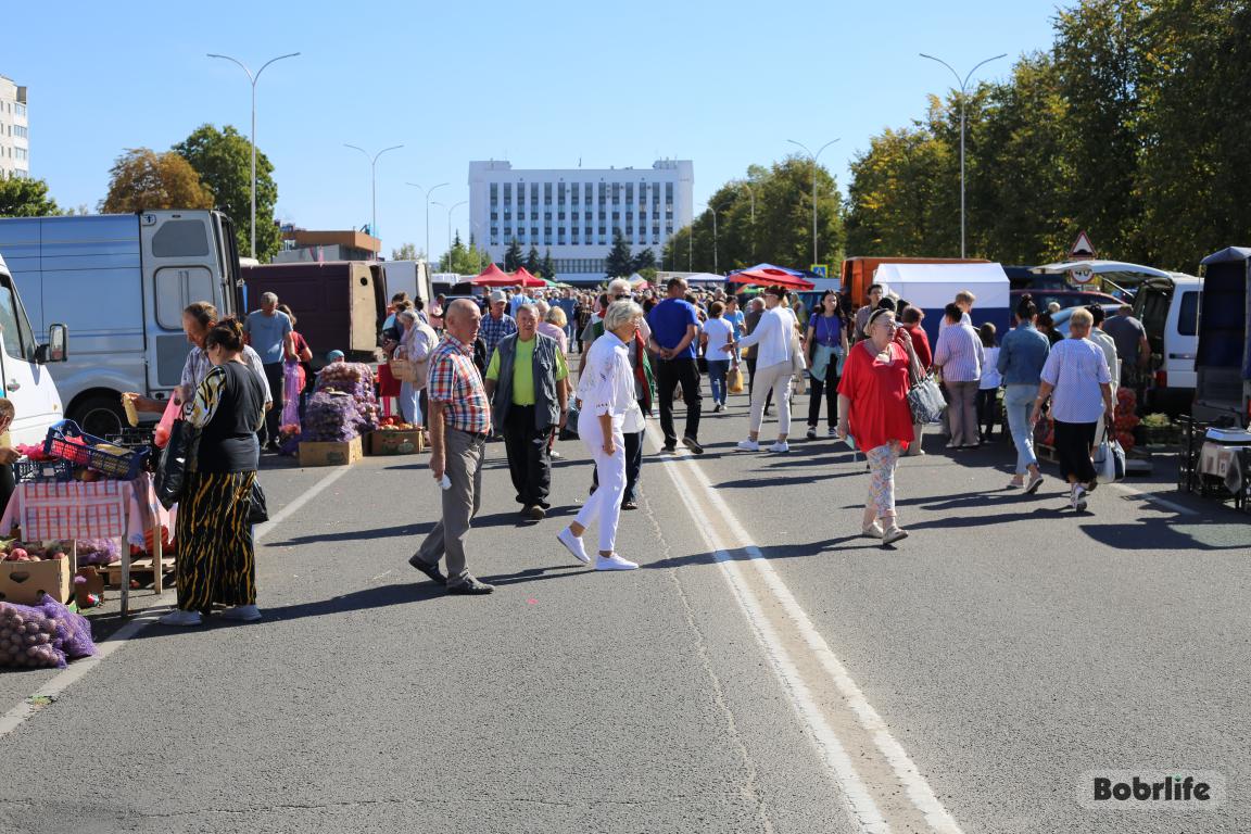 Сезонная ярмарка «Золотая осень»