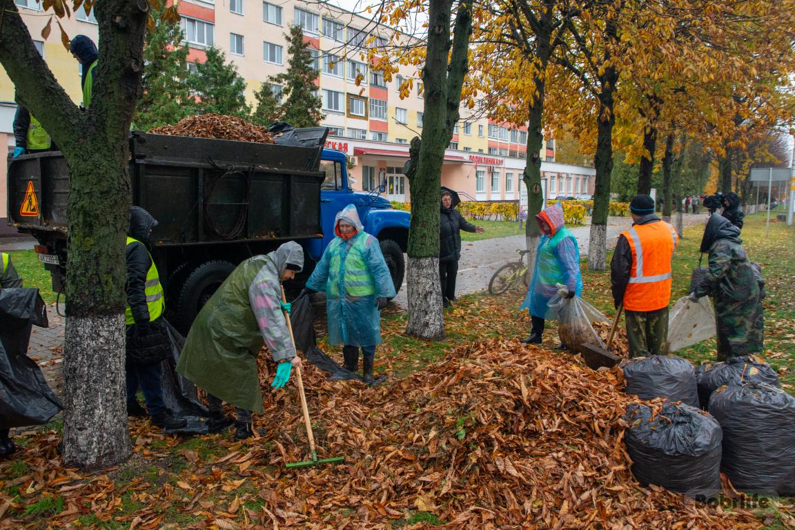 Республиканский субботник в Бобруйске
