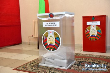 Выборы Президента Республики Беларусь 2015