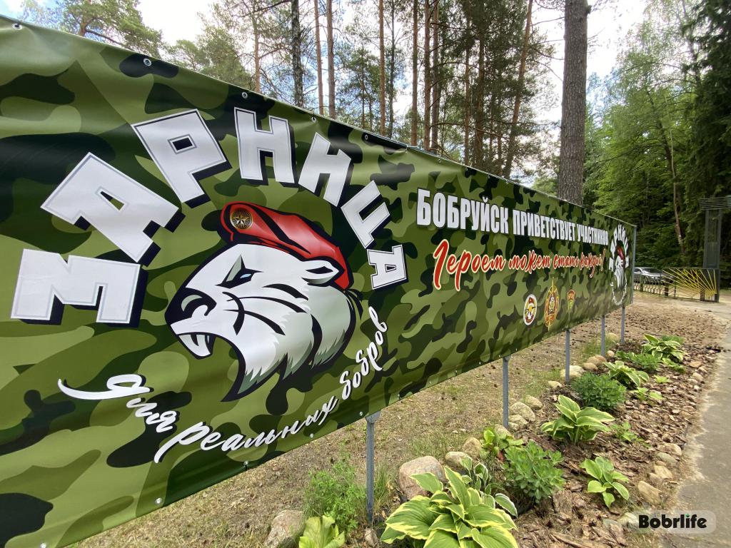 Молодежная военно-спортивная игра «Зарница для реальных бобров» 