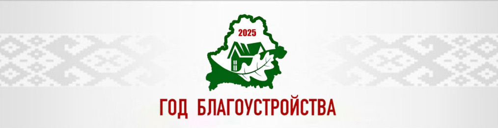 год благоустройства