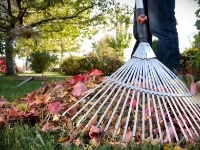 Бобруйск выйдет на городской субботник 12 октября