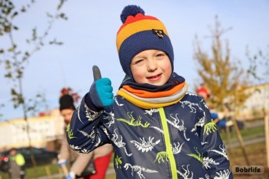 Бобруйск – зеленый город. Расскажем, где на субботнике посадили деревья