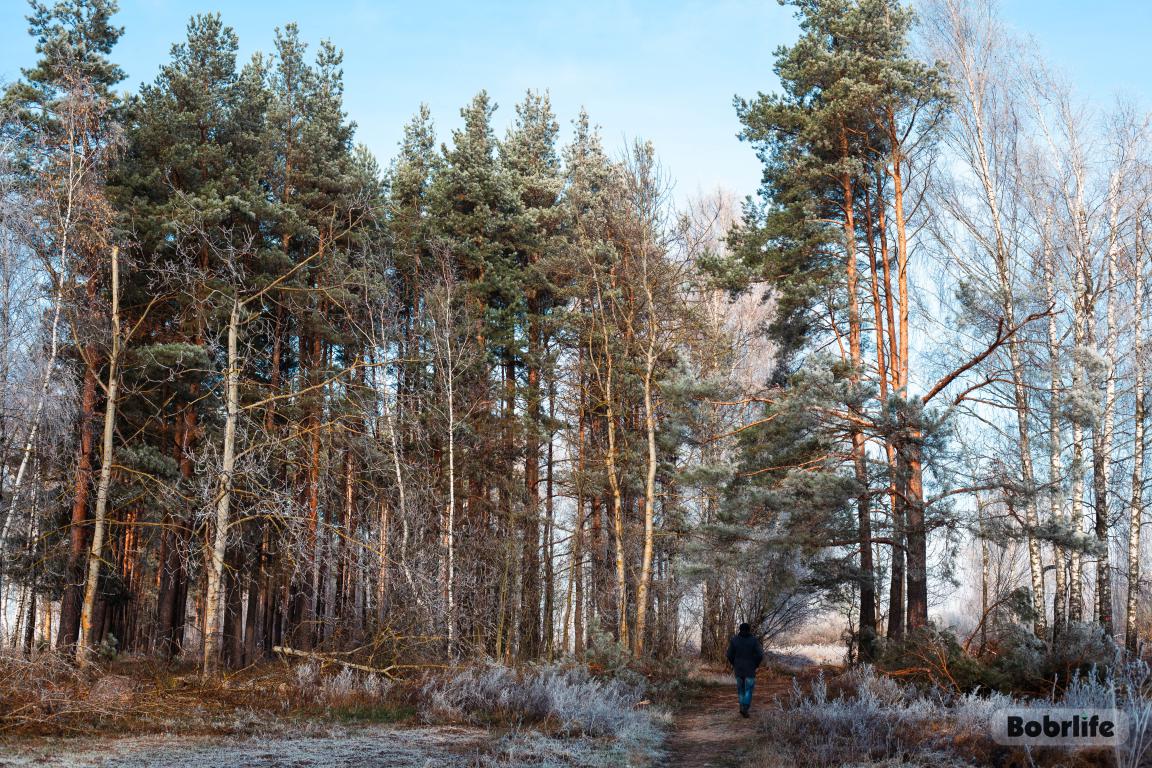 Фотофакт: Бобруйск. Ноябрь. Сказка